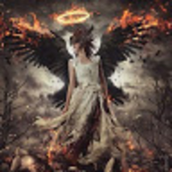 angel_osborn